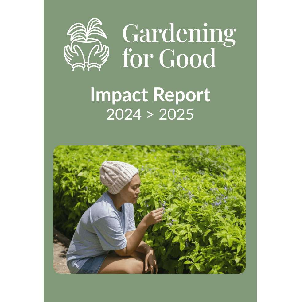 Impact Report